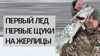 ПЕРВЫЙ ЛЕД. ПЕРВЫЕ ЩУКИ НА ЖЕРЛИЦЫ 2025
