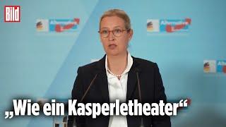 AFD zur Regierungskrise: Alice Weidel kritisiert alle Beteiligten