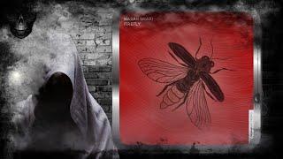 Hasan Ghazi – Firefly (Original Mix) [Redwave Recordings]