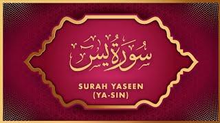 Sorah Yaseen Daily Tilawat Episode 23 Amir jameel Official @ Quraneducation