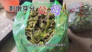 山村风情：热衷淳朴生活，记录边境村庄故事 96