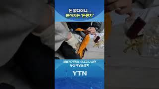 악질 체납자 710명 추적 조사 #shorts / YTN