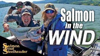 SALMON in the WIND
