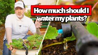 How Long Are You Supposed to Run a Drip Irrigation System?