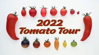 2022 Tomato Tour