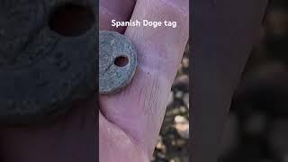 #dogtag #deus2 #metaldetecting #mining #jethro #metaldetector #xpmetaldetectors #dog #perros