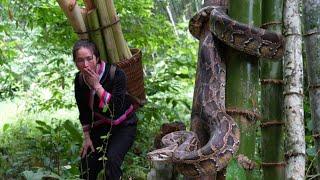 2 year living in forest , Face a giant python and malaria, Vàng Hoa