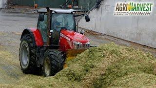 Massey Ferguson 8660 on Silage Pit | Motor Sound | Under The Rain | 4K