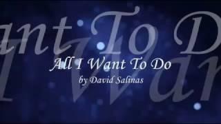 All I Want to Do, official lyric video | David Salinas