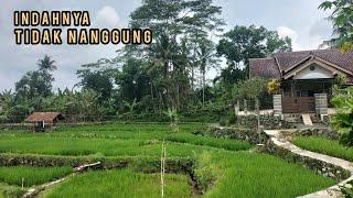 Rumah mewah ditengah sawah semakin indah dan terpesona||kampung patrol@Dsbiler