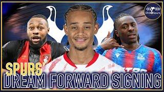 Analysing Spurs DREAM Transfer Targets