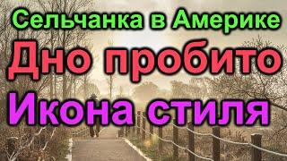 Сельчанка в Америке.Дно пробито.Икона стиля