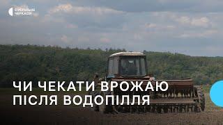 Посівна після водопілля: на який врожай сподіваються черкаські фермери