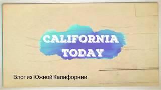 California today Влог из Южной Калифорнии семейный канал переезд в сша los angeles vlog блогер