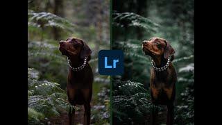 Make your photos pop in Lightroom