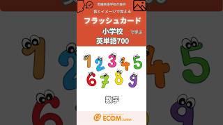 1-20までの数字を英語で- 音とイメージで覚えるフラッシュカード。#小学校英単語700 #語彙