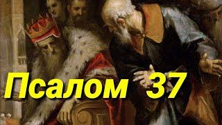 Псалом 37(Видео Библия)