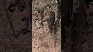 Back to Back 200 Inch Archery Whitetail #bowhunting #archeryhunting #bigbucks #whitetaildeer #bucks