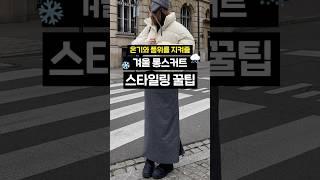 겨울 롱스커트 스타일링 꿀팁 ️ #겨울패션 #겨울코디 #데일리룩 #롱스커트코디 #롱스커트 #shorts