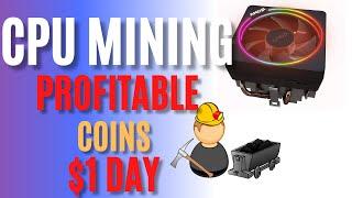 Mining Profitable Coins. What is the Best Strategy?