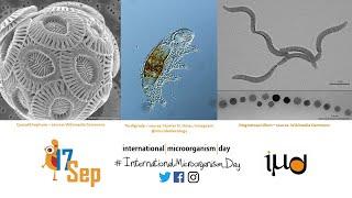 International Microorganism Day Live Stream (4/4)