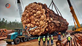 Heavy Equipment Repair & Giant Wooden Tables: Discover The Wooden Table Production Process #309