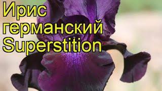 Ирис германский Суеверие. Краткий обзор, описание характеристик iris germanica Superstition