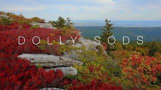 Dolly Sods | 4K