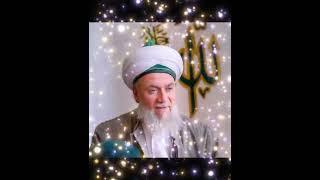Sheikh Abdullah Fa'izi ad-Daghestani Sheikh Nazim Adil Al Haqqani Sheikh Mehmet Adil Rabbani