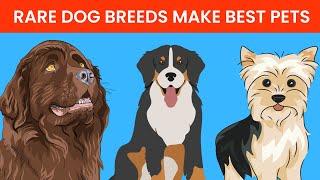 Rarest Dog Breeds That Make the Great Pets - Cute Emergency