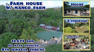 Lot#590 Beautiful farmhouse but pricey property. Mangofarm,fishpons and more fruits 15M askng price