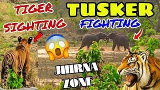 TIGER SIGHTING & TUSKER FIGHTING  GUEST FULL ENJOYED TODAY'S JOURNEY IN CORBETT #yuvrajjimcorbett