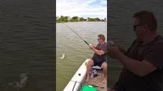 Another good Lake Boga Redfin Perch #perch #fishing #boattrip