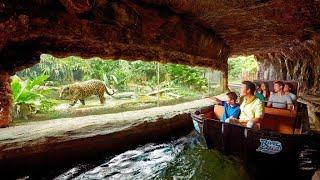 Singapore River Safari Amazon River Quest | Singapore Zoo | 2018