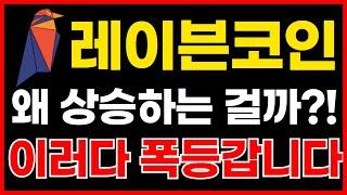 레이븐코인 왜 상승하는 걸까?! 이러다 진짜 폭등합니다!!