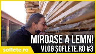 VLOG - În spatele camerei #3 - Miroase a lemn!