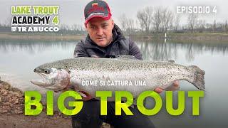 Pescare TROTA LAGO: ECCO COME si cattura una ‼ BIG TROUT ‼ » LAKE TROUT Academy S4E4