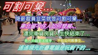 可割可棄…降薪裁員韭菜就是可割可棄…東北留不住人如何發展…還完車貸房貸人生快結束了…老人的錢要這樣掙…不知該如何教學生…遙遙領先折疊電腦是玩剩下的…