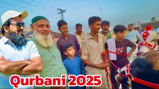 Soda Kitne ka hona Chahiye tha  desi sahiwal cholistani bachre | qurbani 2025 | Lahore Mandi