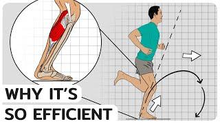 Barefoot Running Technique Simplified