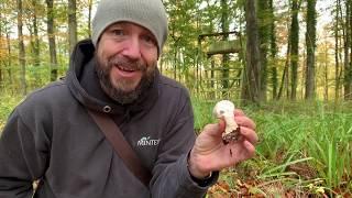 Foraging For Mushrooms- The Common Puffball