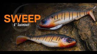 Lee Livesay Swimbait Breakdown (You Can Fish This Bait ANYWHERE)