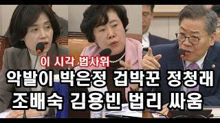 LIVE 이 시각 법사위...악발이 박은정 겁박꾼 정청래, 조배숙 김용빈 법리 싸움