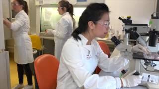 Study Medical Research - School of Medicine, College of Health and Medicine