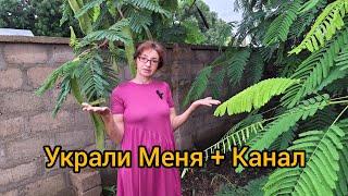 #72 ОСТОРОЖНО! МОШЕННИКИ показывают мои видео В КОНТАКТЕ / Я ТОЛЬКО на Ютубе