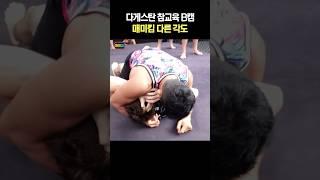 다게스탄 참교육 B캠 매미킴 다른 각도