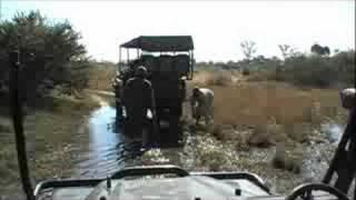 Live from Botswana - stuck in the bush!