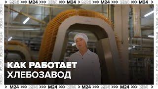 Как работает хлебозавод - Москва 24