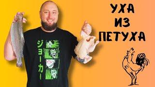 Уха из петуха