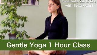 Gentle Relaxation Hatha-Vinyasa 1 Hour Yoga Class (All Levels)